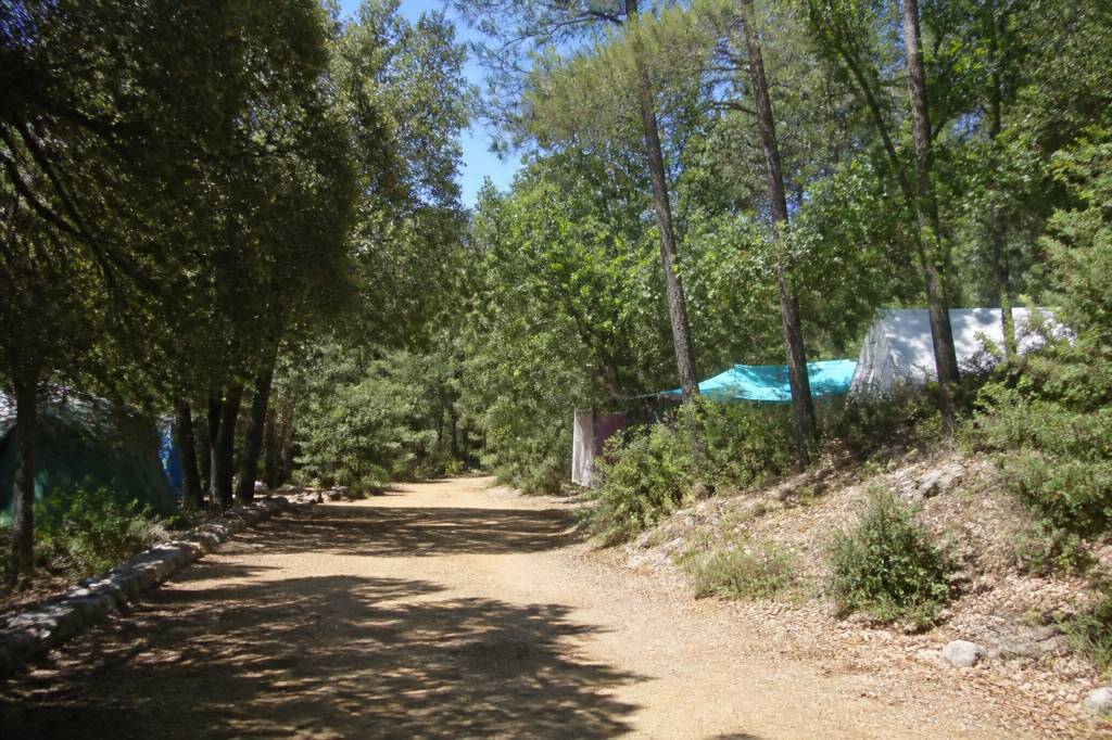 Camping Barjac naturiste : guide pratique pour choisir votre séjour en pleine nature