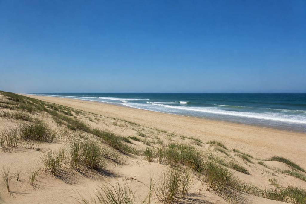 Plages naturistes Landes : les meilleurs spots pour profiter du littoral en toute liberté